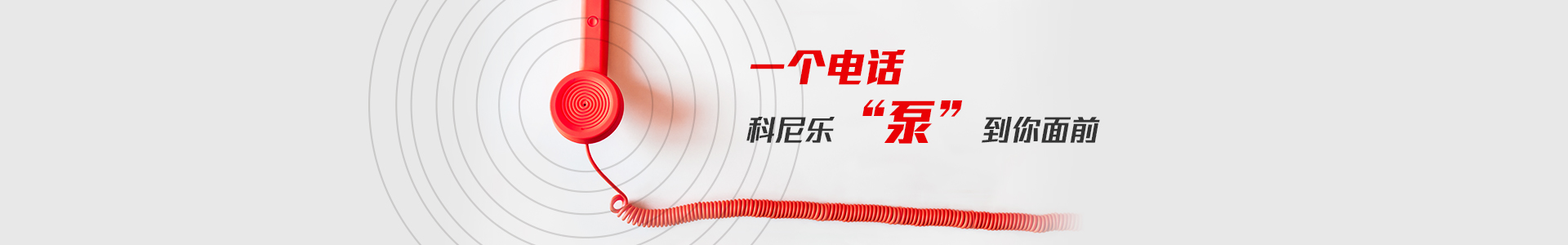 一個(gè)電話(huà),科尼樂(lè )泵到您面前